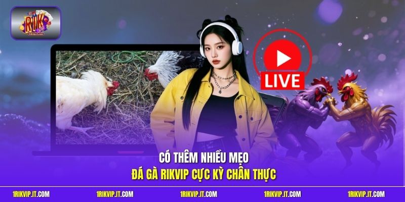 Có thêm nhiều mẹo đá gà Rikvip cực kỳ chân thực