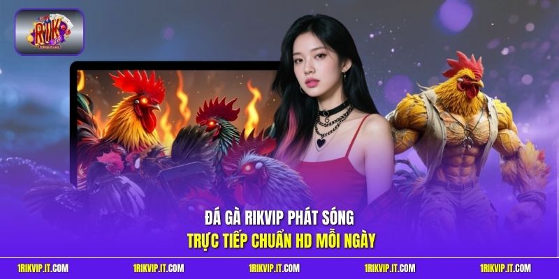 Đá gà Rikvip phát sóng trực tiếp chuẩn HD mỗi ngày
