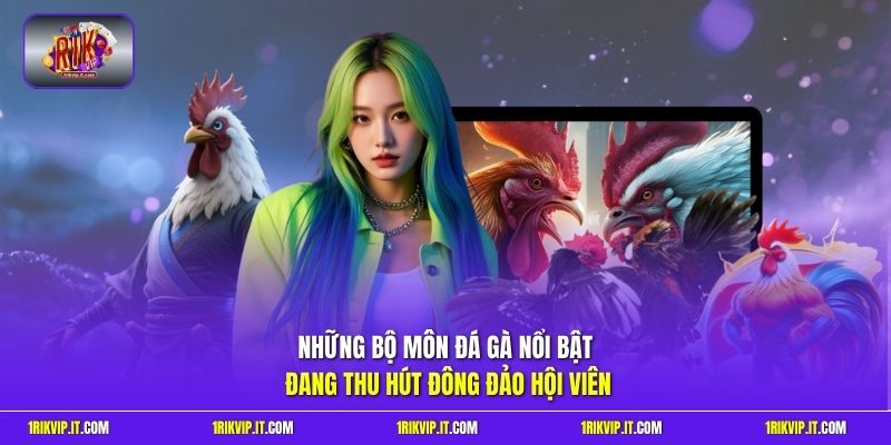 Những bộ môn đá gà nổi bật đang thu hút đông đảo hội viên 