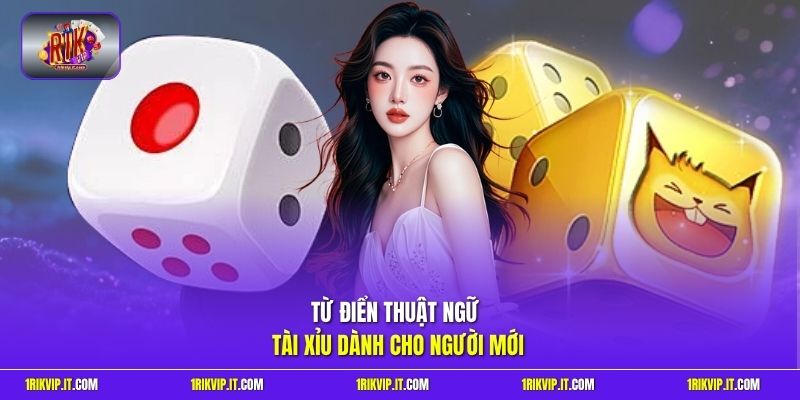 Từ điển thuật ngữ tài xỉu dành cho người mới